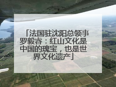 法国驻沈阳总领事罗毅睿：红山文化是中国的瑰宝，也是世界文化遗产