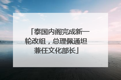 泰国内阁完成新一轮改组，总理佩通坦兼任文化部长