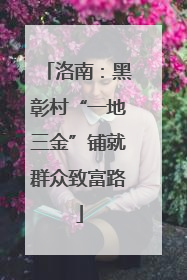 洛南：黑彰村“一地三金”铺就群众致富路