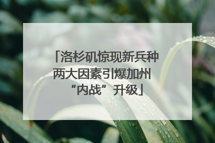 洛杉矶惊现新兵种 两大因素引爆加州“内战”升级