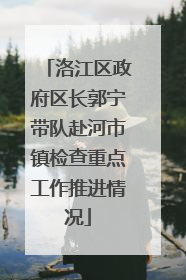 洛江区政府区长郭宁带队赴河市镇检查重点工作推进情况