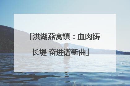 洪湖燕窝镇：血肉铸长堤 奋进谱新曲
