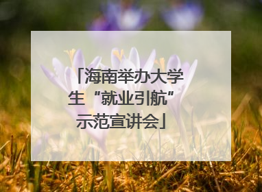 海南举办大学生“就业引航”示范宣讲会