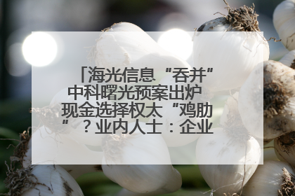 海光信息“吞并”中科曙光预案出炉 现金选择权太“鸡肋”？业内人士：企业不想大量现金流出
