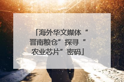 海外华文媒体“晋南粮仓”探寻“农业芯片”密码