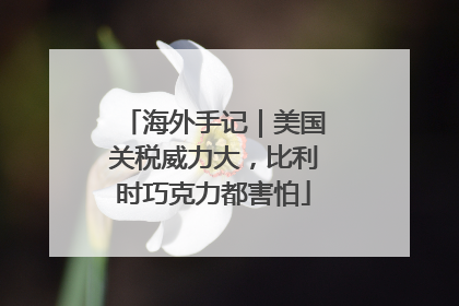 海外手记｜美国关税威力大，比利时巧克力都害怕