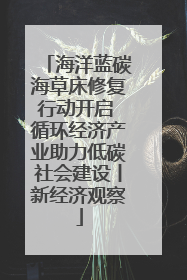 海洋蓝碳海草床修复行动开启 循环经济产业助力低碳社会建设丨新经济观察