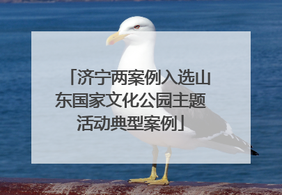 济宁两案例入选山东国家文化公园主题活动典型案例