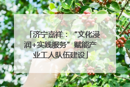 济宁嘉祥：“文化浸润+实践服务”赋能产业工人队伍建设