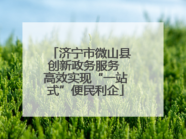 济宁市微山县创新政务服务 高效实现“一站式”便民利企