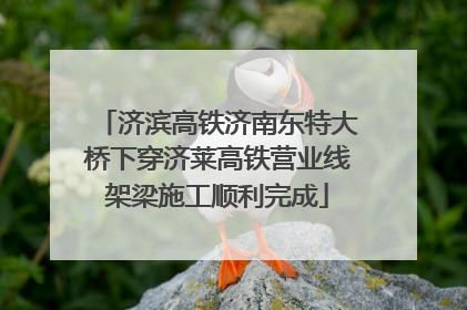济滨高铁济南东特大桥下穿济莱高铁营业线架梁施工顺利完成