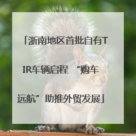 浙南地区首批自有TIR车辆启程 “购车远航”助推外贸发展