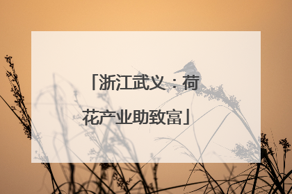 浙江武义：荷花产业助致富