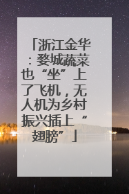 浙江金华：婺城蔬菜也“坐”上了飞机，无人机为乡村振兴插上“翅膀”