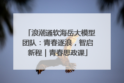 浪潮通软海岳大模型团队：青春逐浪，智启新程｜青春思政课