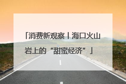 消费新观察丨海口火山岩上的“甜蜜经济”