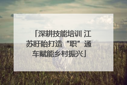 深耕技能培训 江苏盱眙打造“职”通车赋能乡村振兴