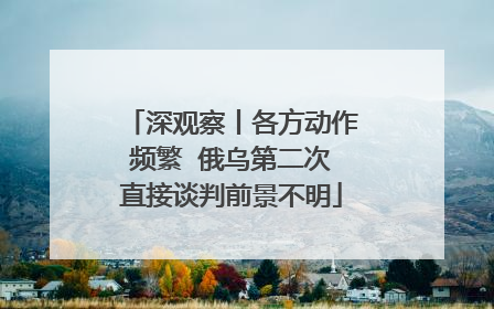 深观察丨各方动作频繁  俄乌第二次直接谈判前景不明