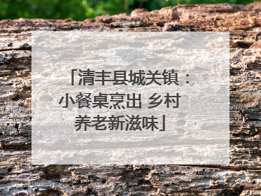 清丰县城关镇：小餐桌烹出 乡村养老新滋味