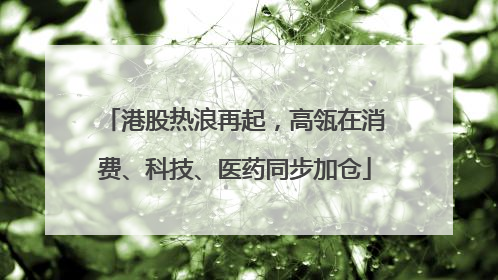 港股热浪再起，高瓴在消费、科技、医药同步加仓
