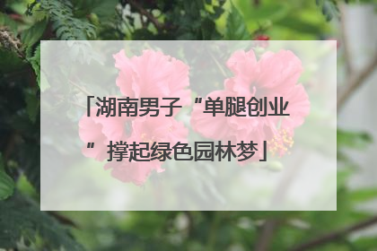 湖南男子“单腿创业”撑起绿色园林梦
