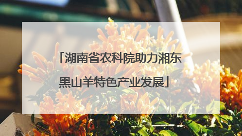 湖南省农科院助力湘东黑山羊特色产业发展