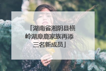 湖南省湘阴县横岭湖麋鹿家族再添三名新成员