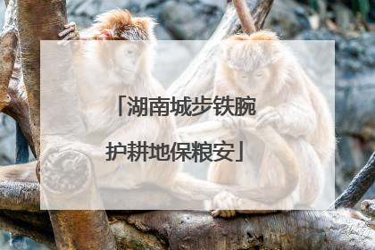 湖南城步铁腕护耕地保粮安