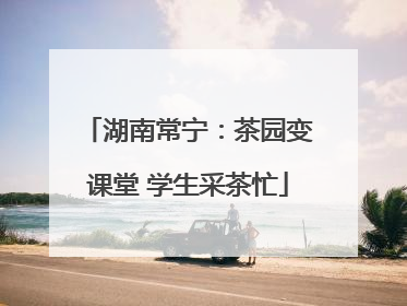 湖南常宁：茶园变课堂 学生采茶忙
