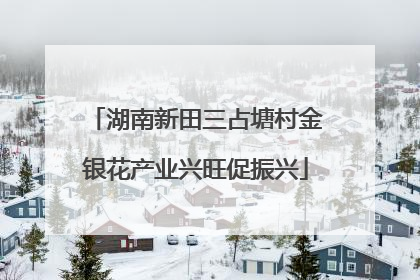 湖南新田三占塘村金银花产业兴旺促振兴