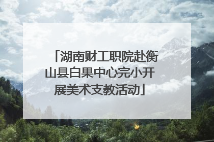 湖南财工职院赴衡山县白果中心完小开展美术支教活动