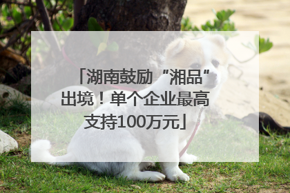 湖南鼓励“湘品”出境！单个企业最高支持100万元