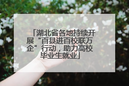 湖北省各地持续开展“百县进百校联万企”行动，助力高校毕业生就业