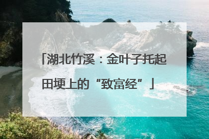 湖北竹溪：金叶子托起田埂上的“致富经”