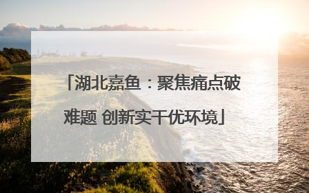 湖北嘉鱼：聚焦痛点破难题 创新实干优环境