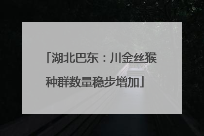 湖北巴东：川金丝猴种群数量稳步增加