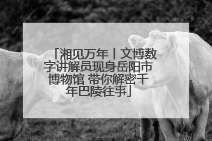 湘见万年丨文博数字讲解员现身岳阳市博物馆 带你解密千年巴陵往事