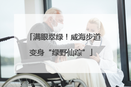 满眼翠绿！威海步道变身“绿野仙踪”