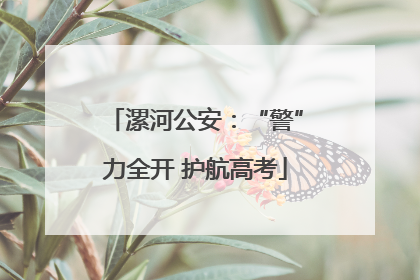 漯河公安：“警”力全开 护航高考