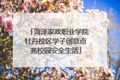 菏泽家政职业学院牡丹校区学子创意点亮校园安全生活