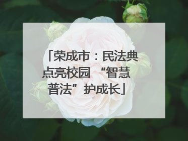 荣成市：民法典点亮校园 “智慧普法”护成长