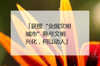 获授“全国文明城市”称号文明 兴化，何以动人