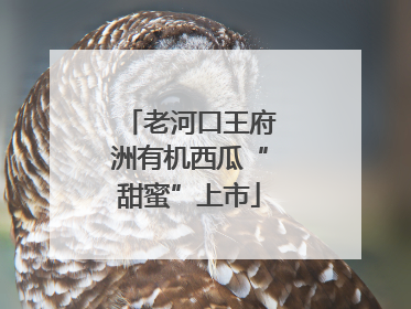 老河口王府洲有机西瓜“甜蜜”上市