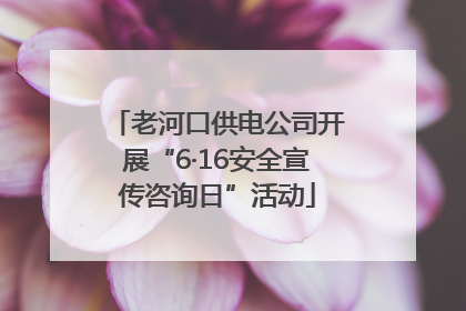 老河口供电公司开展“6·16安全宣传咨询日”活动