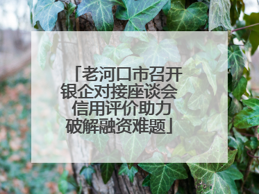 老河口市召开银企对接座谈会 信用评价助力破解融资难题