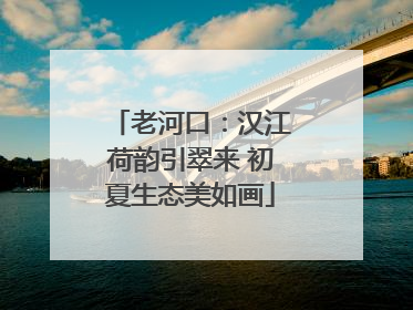 老河口：汉江荷韵引翠来 初夏生态美如画
