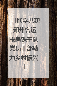 联学共建 郑州客运段高铁车队党员干部助力乡村振兴