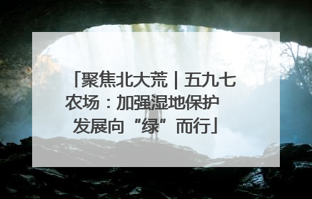 聚焦北大荒｜五九七农场：加强湿地保护 发展向“绿”而行