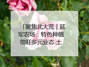 聚焦北大荒｜延军农场：特色种植带旺多元业态 土地焕发新活力