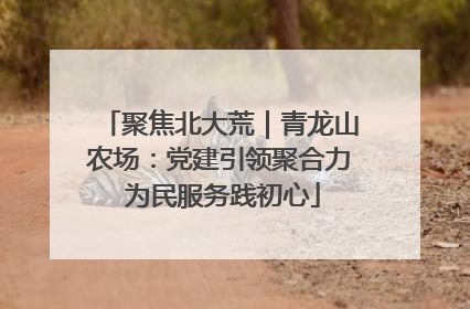 聚焦北大荒｜青龙山农场：党建引领聚合力 为民服务践初心